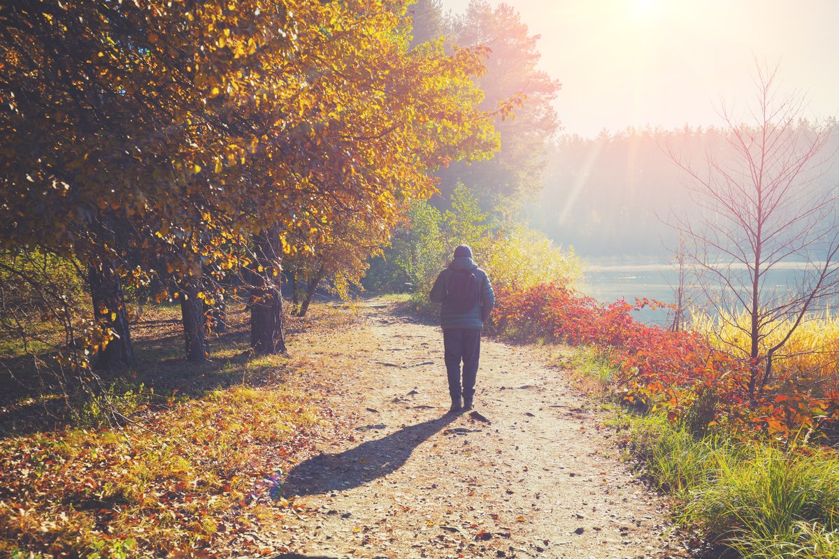 We're now in the last month of the year in which you can get your daily dose of vitamin D from sunlight. Despite it being a bit grey and cloudy this week! 🌧️ Find out more about supplements and nutrition here: theros.org.uk/information-an…

#vitamind