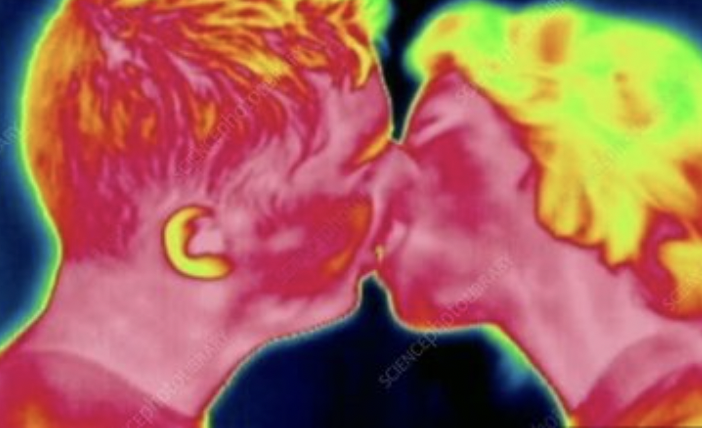 Carnivore Aurelius ©🥩 ☀️🦙 tweet media