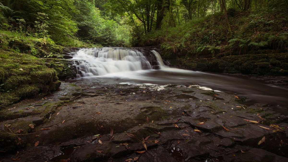 The Clare Glens, along the Tipperary/Limerick border in #Ireland 
#StormHour
