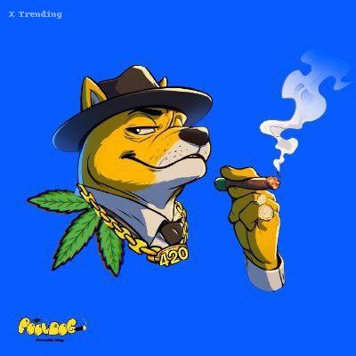 GetXTrend's tweet photo. 🚀 Welcome @Poolside_Dog_ to X Trending! 🎉

📱 Telegram: https://t.co/tsqJS1jRio
🌐 Website: https://t.co/4KCTBN0IEs
📊 Chart: https://t.co/5J54H3LgUf

🔥 #POOLDOG 🔥 https://t.co/toebShgVT5