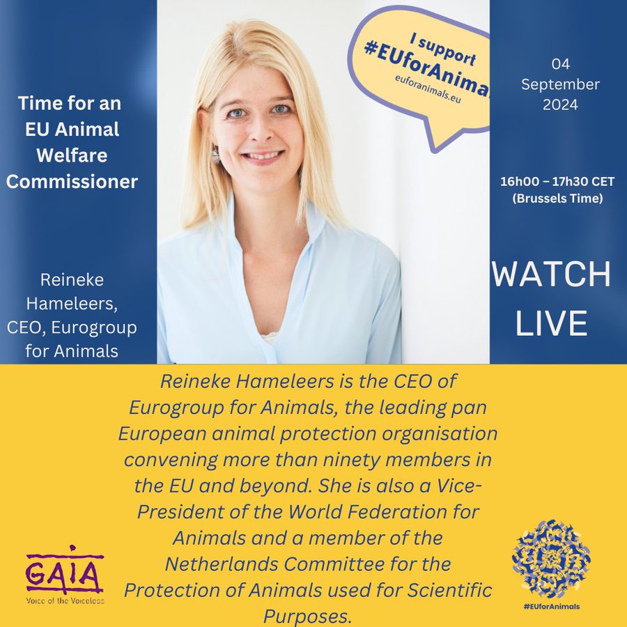 Act4AnimalsEU's tweet photo. Our CEO, @ReinekeEG4A will be speaking at tomorrow @BrusselsTimes + @GAIABrussels's event on the need of an EU Commissioner for Animal Welfare.
Join live: https://t.co/93a554OASZ
🗓️ 4 September
⏰ 16:00 - 17:30 CEST
#EUforAnimals @euforanimals https://t.co/hNsZrqmE2F