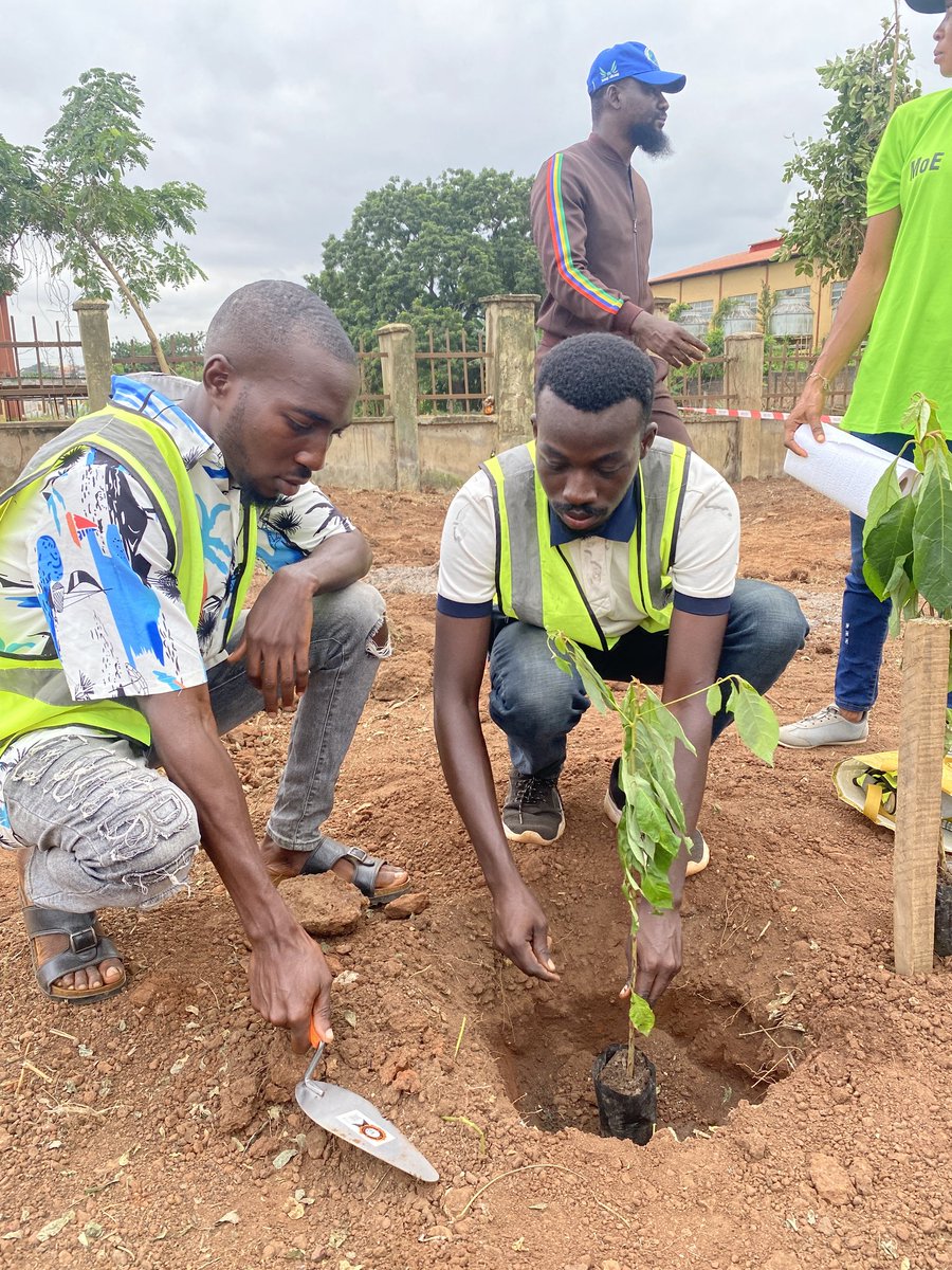 gliforumng's tweet photo. How about we start a Climate Action Trend!!!

Reply the post with the Climate Actions you taking even in your little way. #Oguntreeplantingday

#SDGs2030
#OneHealth
#ClimateJustice
#EcosystemRestoration
#zerohunger
#WASH
#NDCs https://t.co/Fe2s4eknWX