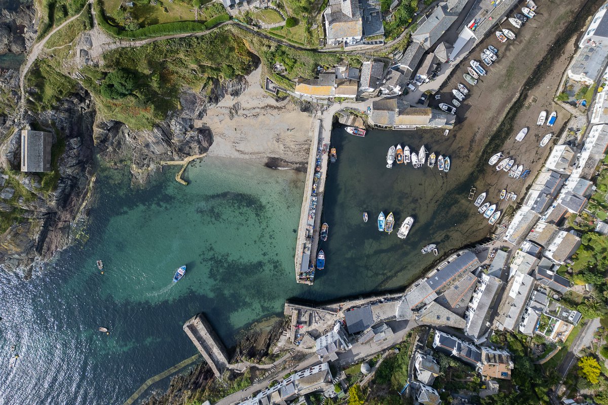 Daniel Dayment tweet media