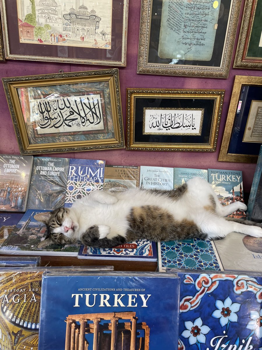 luminousdylmas's tweet photo. ağustos dump 🪬 en sevdiğim mevsime geçtik sonbahar bana çok iyi gel 🙏🏻 https://t.co/AmMP9wtrOE