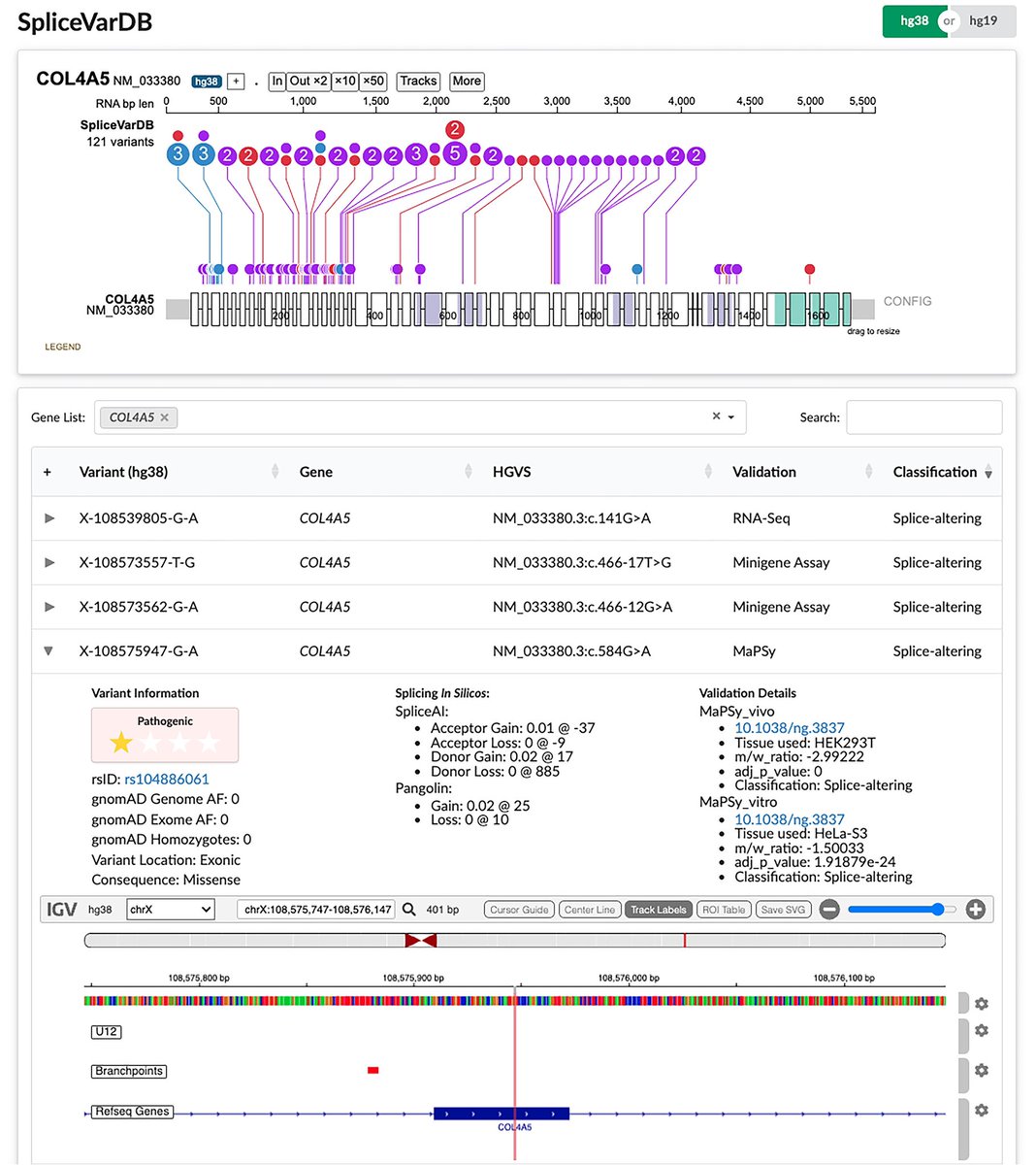 SpliceVarDB: A comprehensive database of experimentally validated human splicing variants #RareDisease #Genetics #splicing cell.com/ajhg/fulltext/…