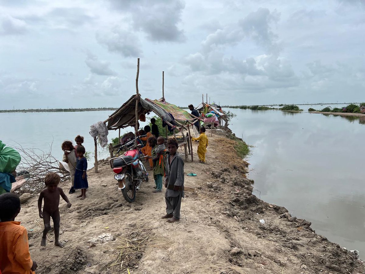 Narainkolhi's tweet photo. Rain starts in Badin again, Monsoon rain is already devastated by the district. In Taluka Golarchi three UCs are majorly affected. 80 villages under the water, many ppls are displaced, 20 animals have lost their lives, 1343 houses &amp; huts are completely destroyed &amp; 1681 partially. https://t.co/j7bvX3csnW