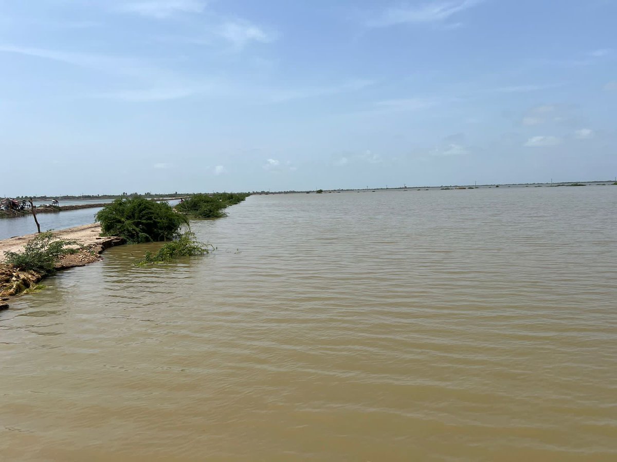 Narainkolhi's tweet photo. Rain starts in Badin again, Monsoon rain is already devastated by the district. In Taluka Golarchi three UCs are majorly affected. 80 villages under the water, many ppls are displaced, 20 animals have lost their lives, 1343 houses &amp; huts are completely destroyed &amp; 1681 partially. https://t.co/j7bvX3csnW