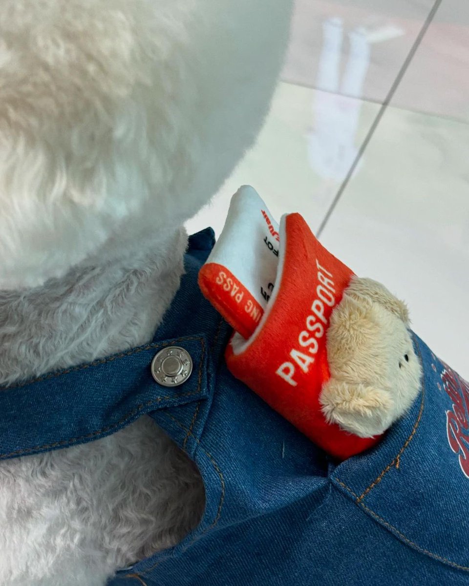 azzostagram tweet media