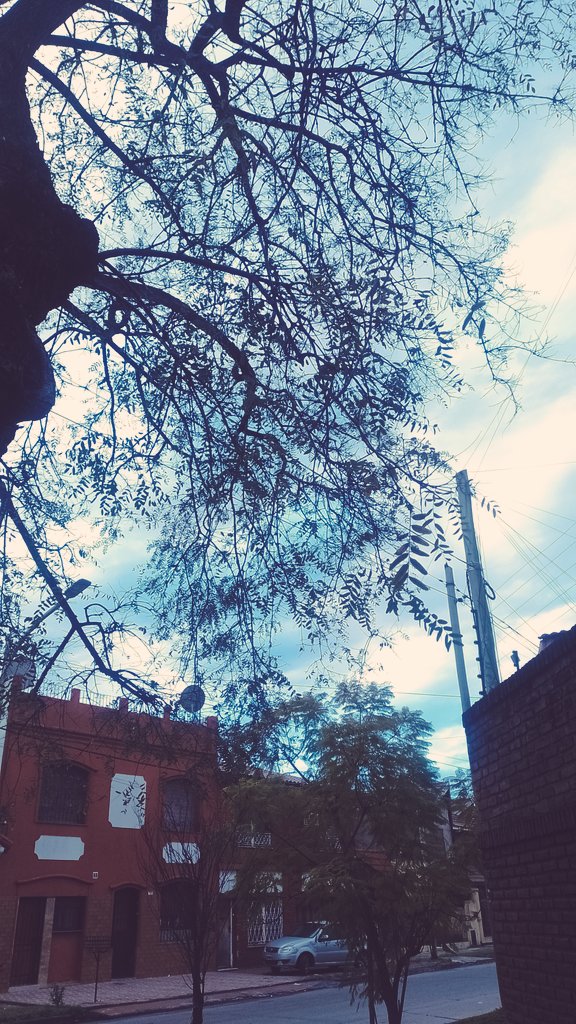 lalocalinda_80's tweet photo. #Marres
Buenos días desde Lanús City🤗
Me he quedado dormida....siempre triunfando, hoy se toma 🚌
Que tengan lindo día 💫
☕🎶🫶🏻 https://t.co/60UeZHGUgV