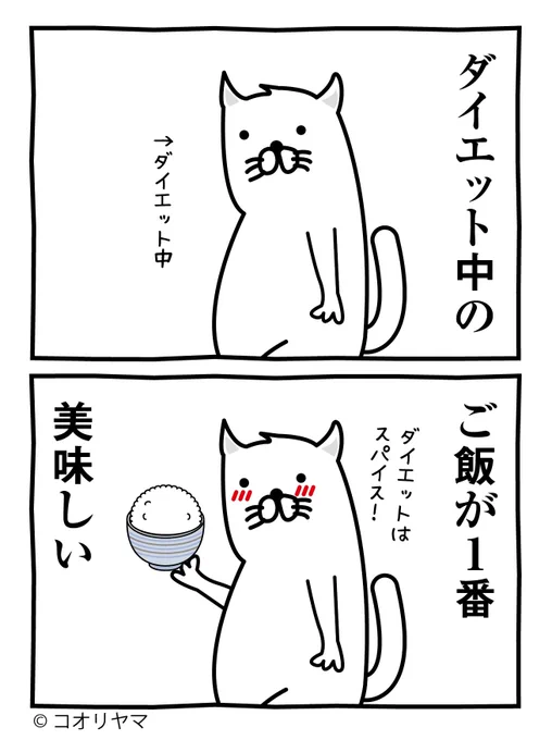 ダイエットはスパイスだよ…! 
