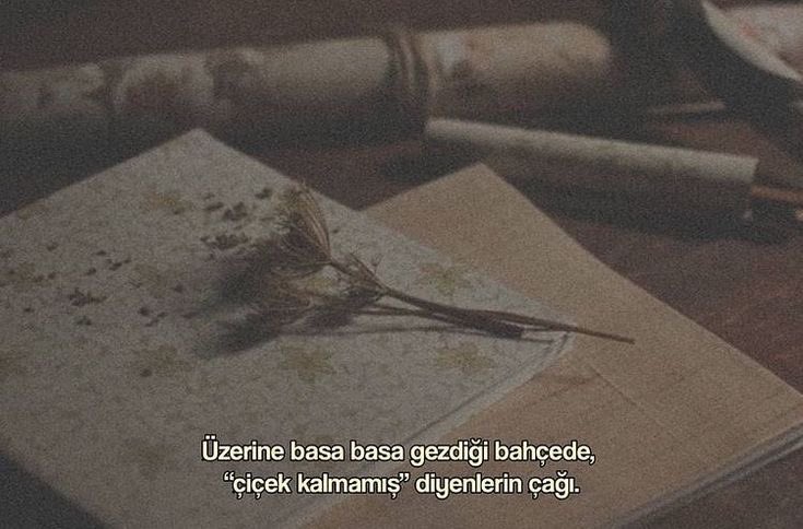 Yerçekimsiz Karanfil (@yersizkaranfil) on Twitter photo 