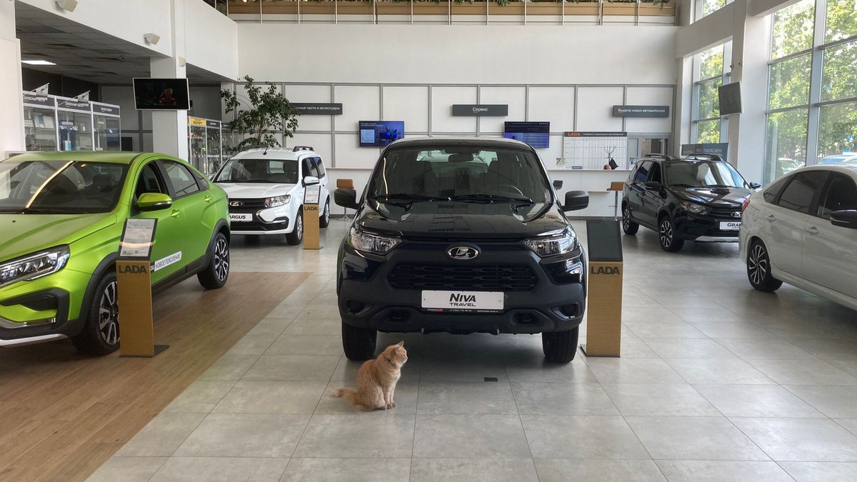 Mail.ru Авто tweet media