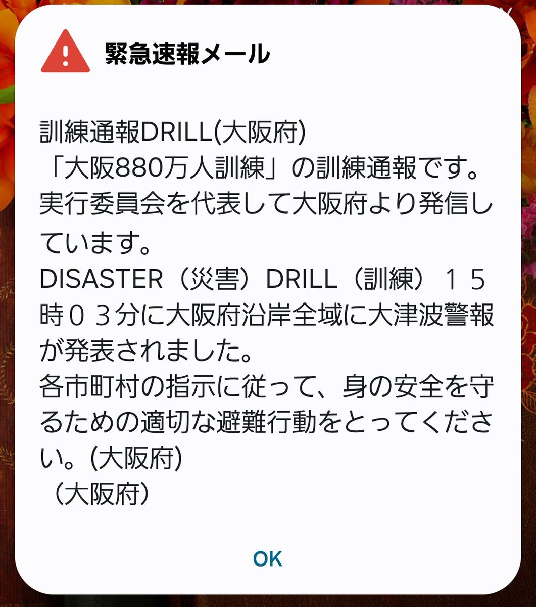 梅田では皆さんスマホ鳴りまくって中々の迫力でしたね💦
防災大事ですね
#大津波警報　#大阪