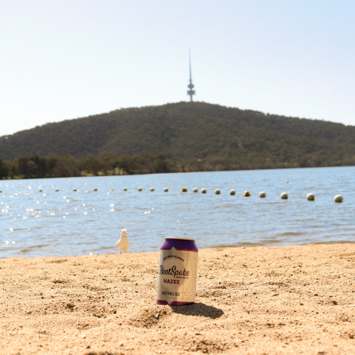 Canberra’s got a beach! Okay, sort of. But we do have Hazee, your tropical escape in a can.

#KindaTropical #EazeeDrinking #HazeeHoliday #SunnySips #HazeeGetaway #VacationinACan #SippingOnSunshine #NoTravelRequired #SipAndEscape #Paradise #IslandVibes #TasteSummer #BentSpoke