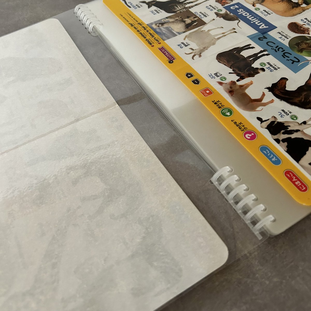 はじめてずかん無事修復！ 剥がれたり破れたりでかなりボロボロだっ