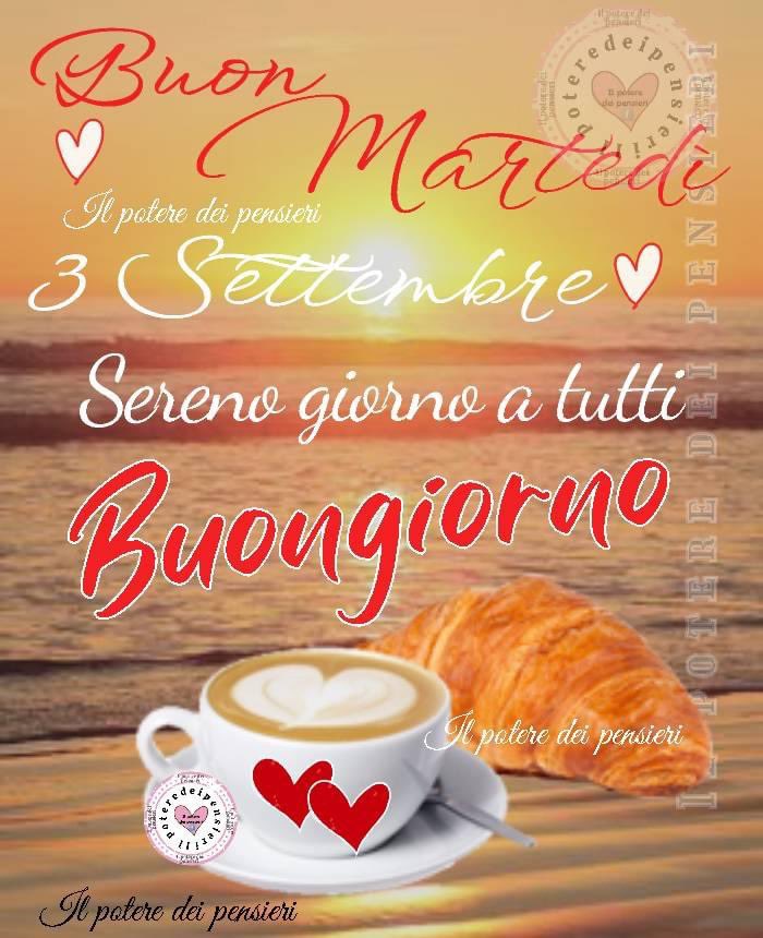 RITABIANCHi56 tweet media