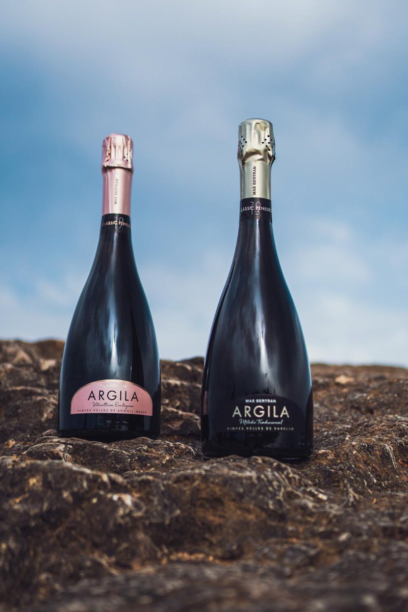 Mas Bertran tweet media