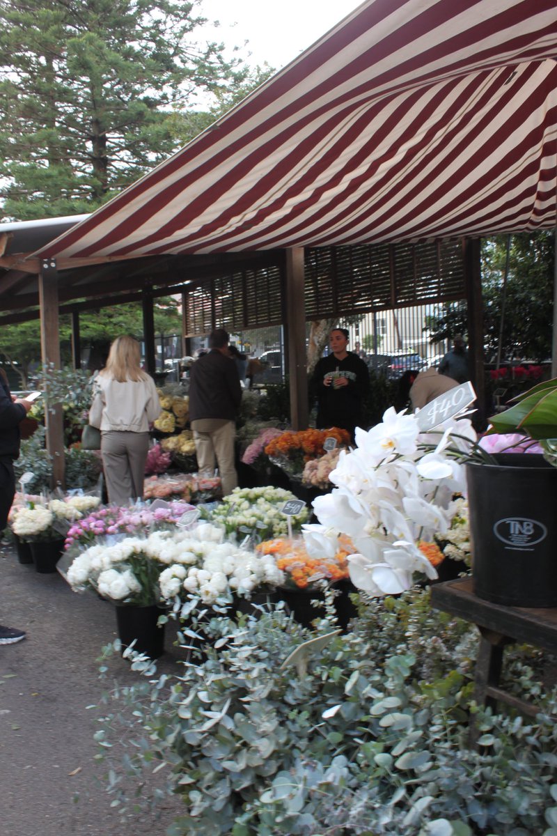 5月のシドニー旅行
祖父の形見のカメラと一緒に📷