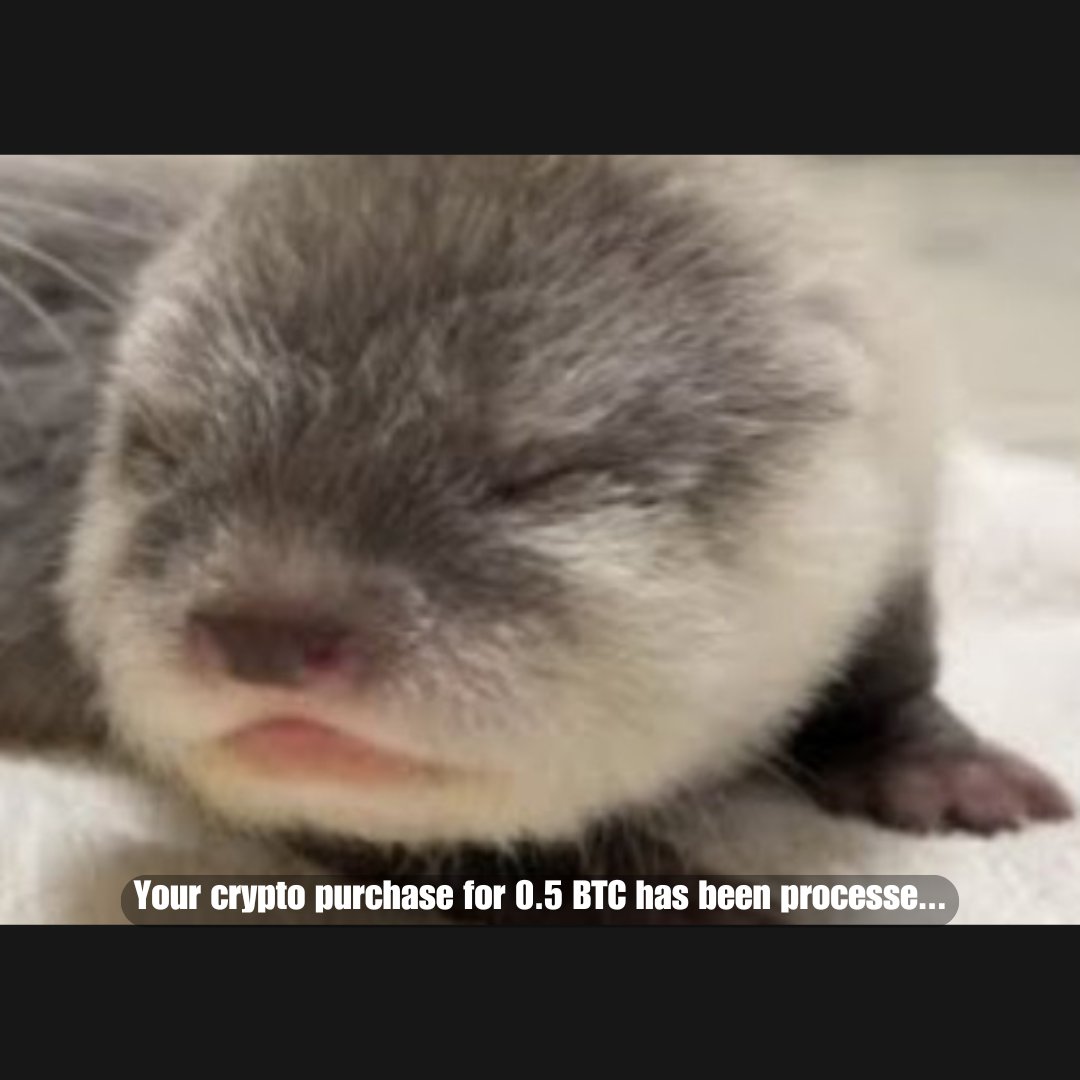 kucoincom's tweet photo. 🫣

How are we feeling about $BTC today, anon? https://t.co/6Uk08nIpZt