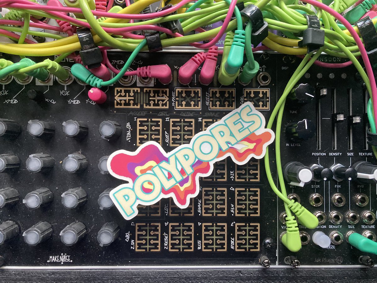 Polypores 🌳👽🌳 tweet media