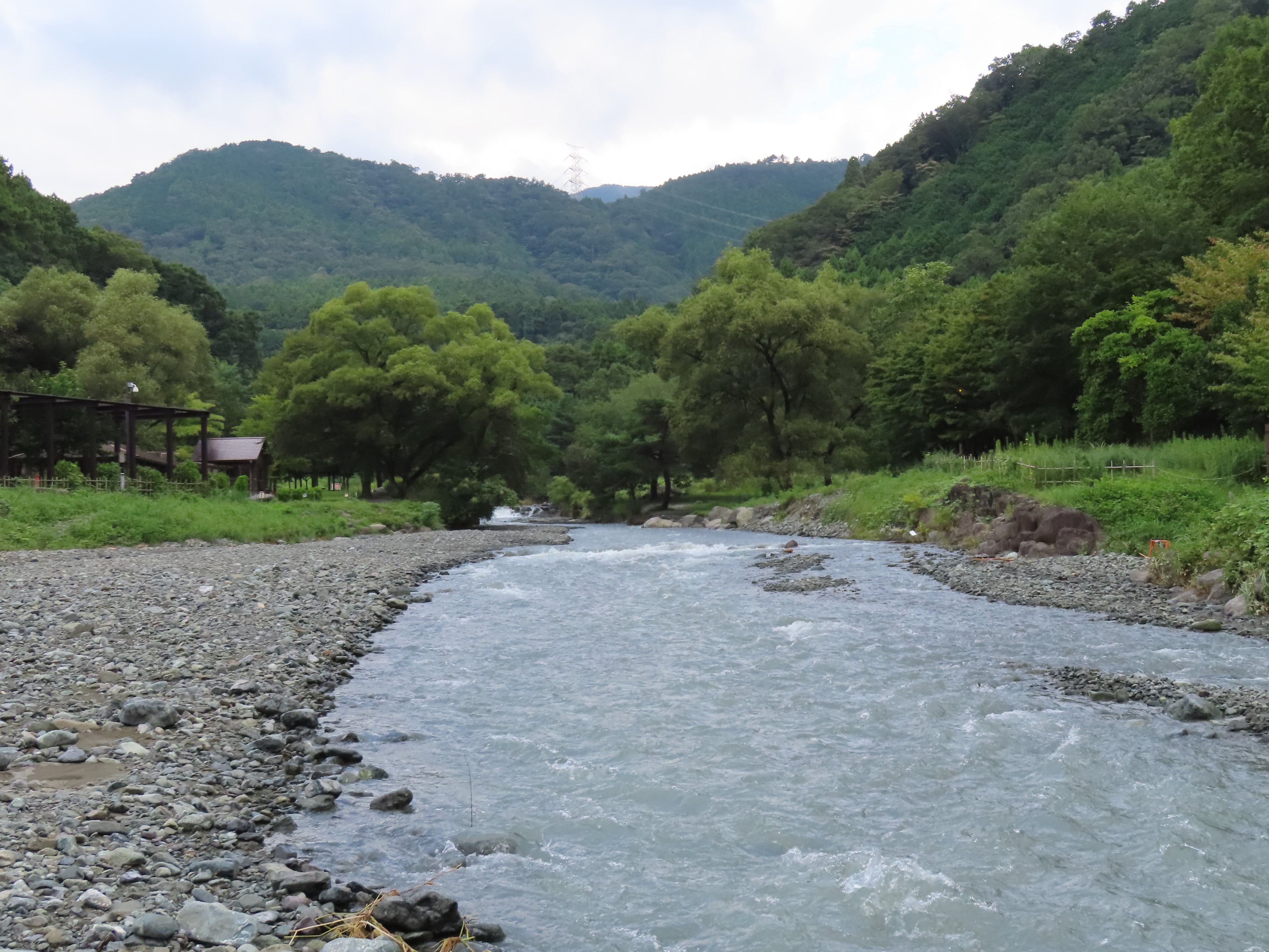 秦野戸川公園 on X: 