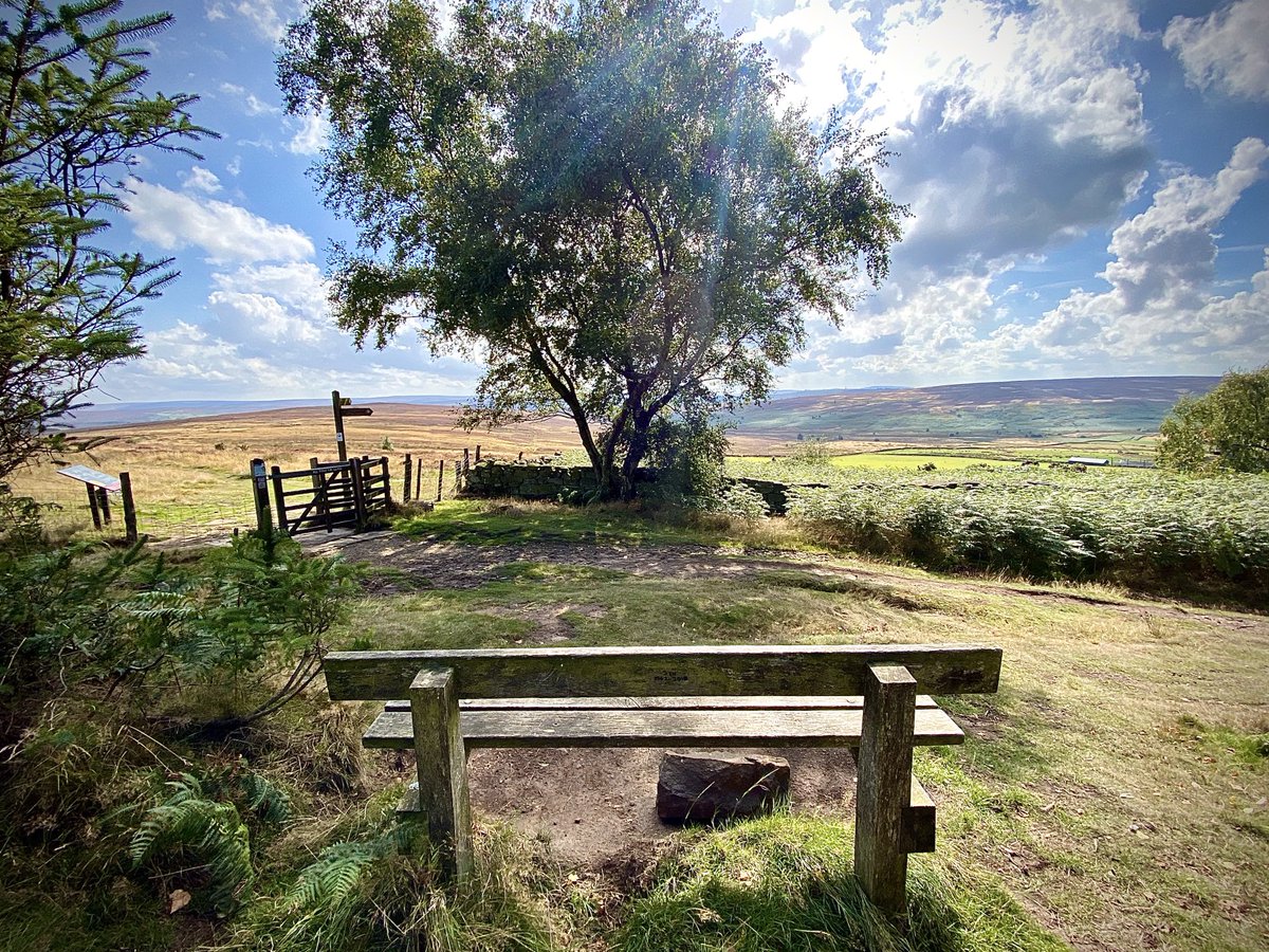 NickyJohnsonNY's tweet photo. Wishing you a terrific Tuesday from North Yorkshire 😊 take a pew and enjoy the view 😉 https://t.co/dsFPnYhZ80
