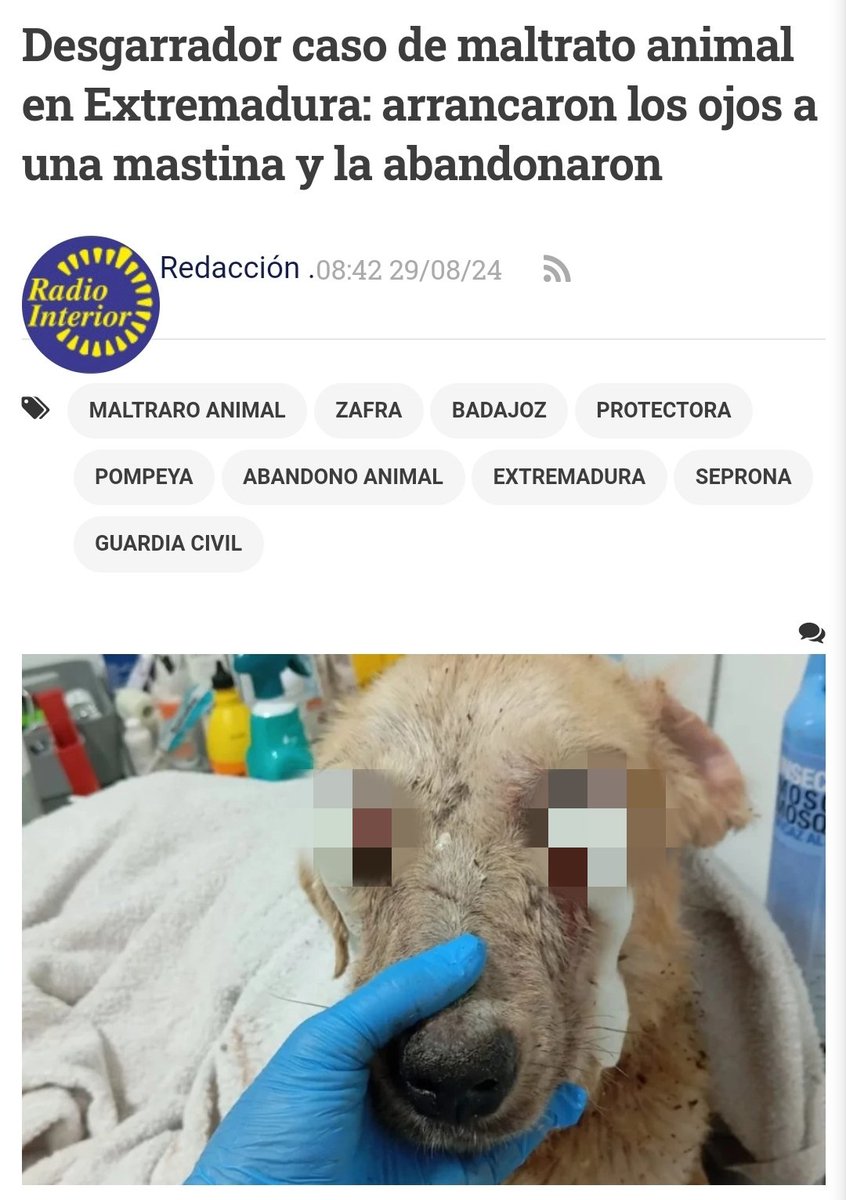 Rubén Pérez tweet media