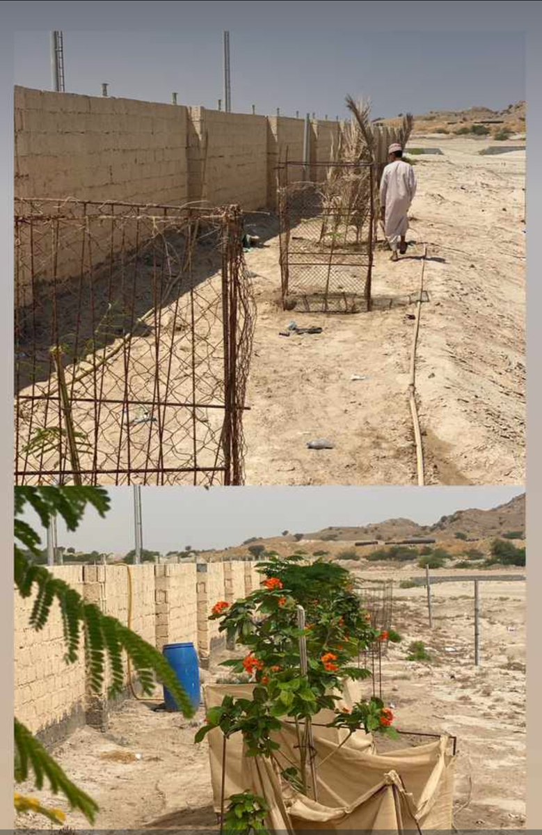 SalimAf39's tweet photo. إعمل بجهد فلا تعلم كيف سيكون حالك غداُ.

#صباح_الخير_والسعاده https://t.co/cA7J4Pku26