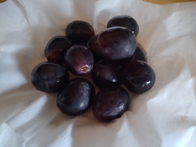 巨峰を食べながら夕休憩🌆🍇(*'∀`*)b