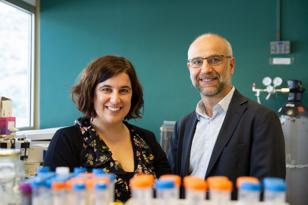 🇨🇭 The "Geneva patient": the first person cured of #HIV with a stem cell transplant without the CCR5Δ32 mutation, which is protective against HIV.

💥 <a href="/NatureMedicine/">Nature Medicine</a> publishes this unprecedented success today, with the participation of #IrsiCaixa.

🔗 irsicaixa.es/en/geneva-pati…