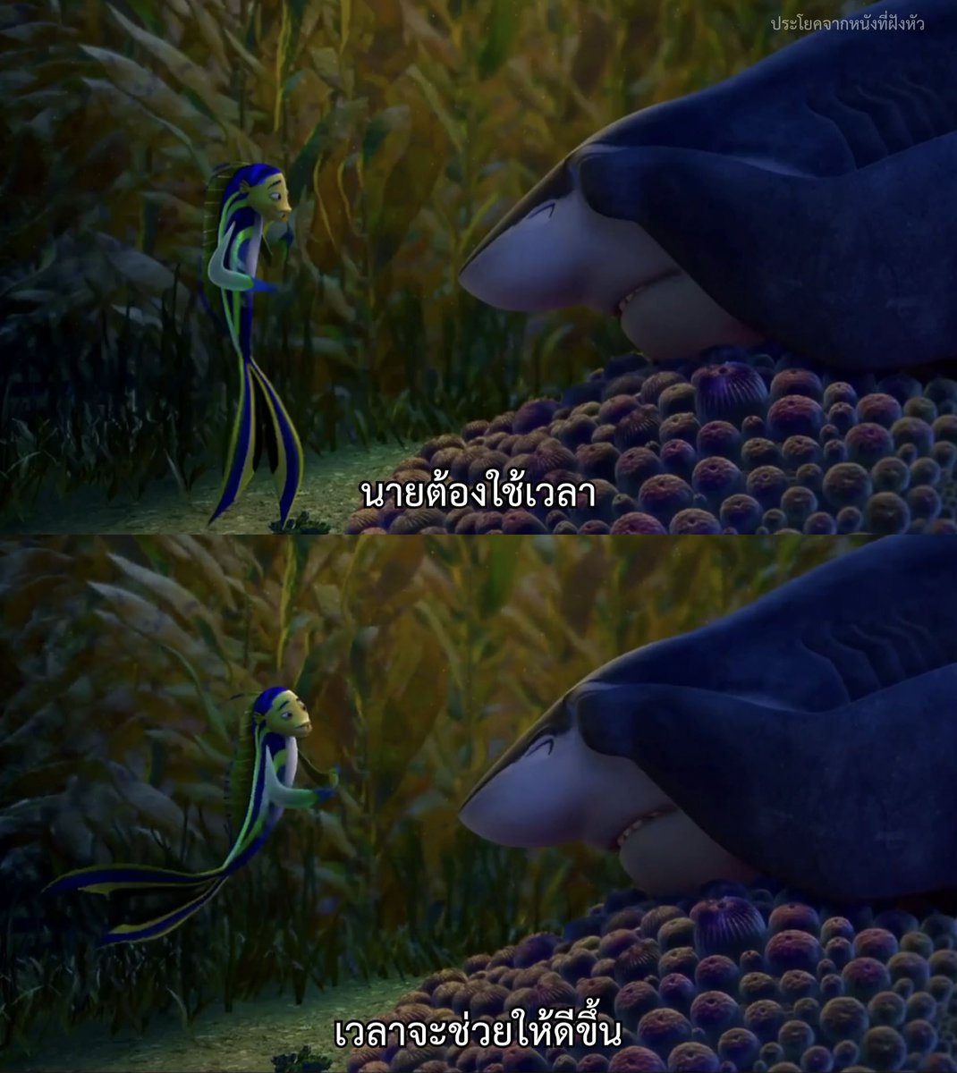 MVDeepQuotes's tweet photo. ส่วนใหญ่นะ

- Shark Tale https://t.co/v0SqoBzcw3