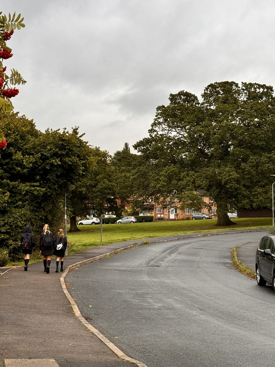 Gemma Mitchell tweet media