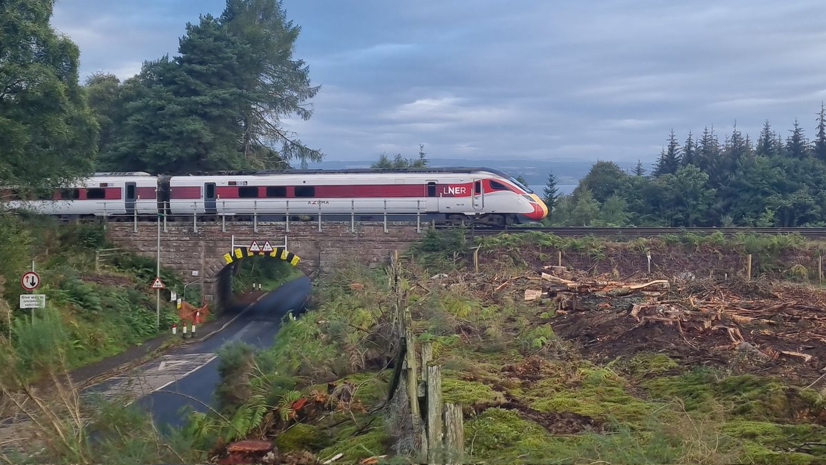 RobWilson_RW's tweet photo. 🚂📷#RailwayPhotography 
More trees felled at Balloch Woods, Inverness, providing a clear shot of Azuma 800 108 as it takes 1E13 from Inverness to Kings Cross, 03/09/24.
@LNER @NetworkRailSCOT https://t.co/k9mFeOtwOb
