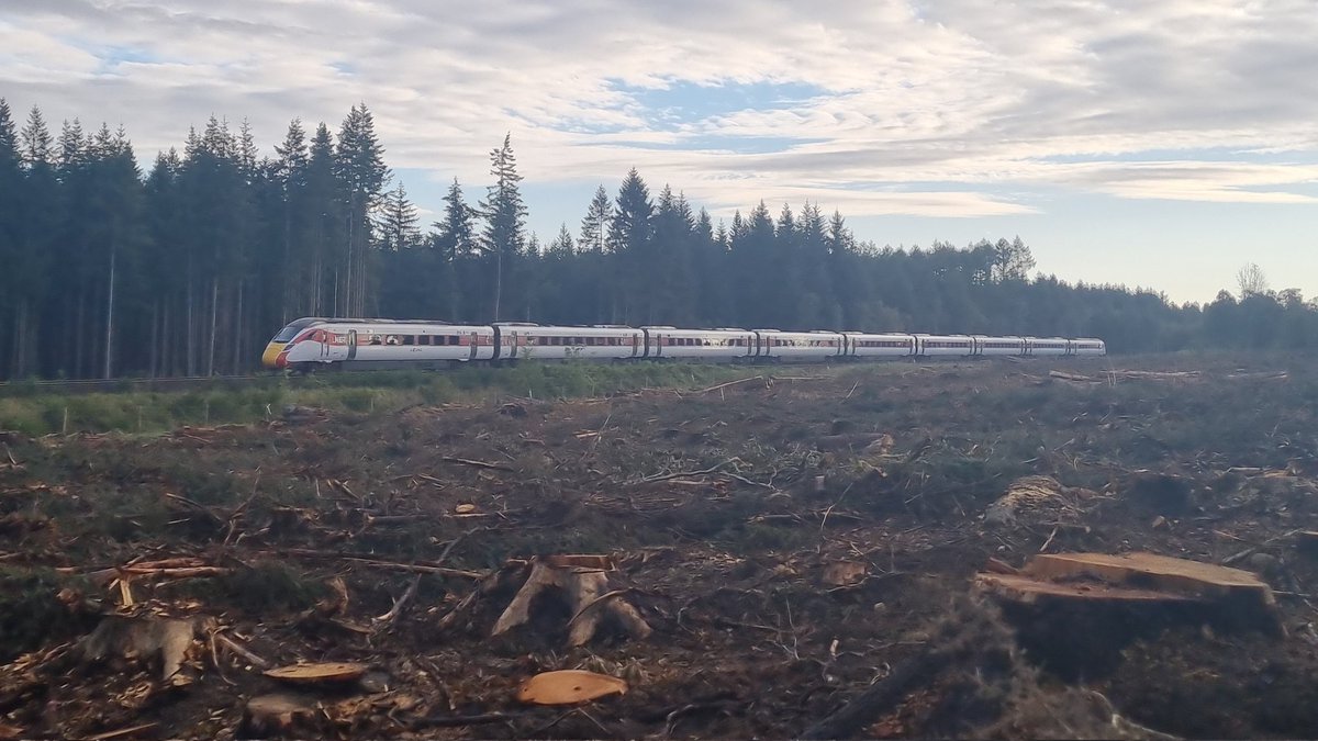🚂📷#RailwayPhotography 
More trees felled at Balloch Woods, Inverness, providing a clear shot of Azuma 800 108 as it takes 1E13 from Inverness to Kings Cross, 03/09/24.
<a href="/LNER/">London North Eastern Railway</a> <a href="/NetworkRailSCOT/">Network Rail Scotland</a>