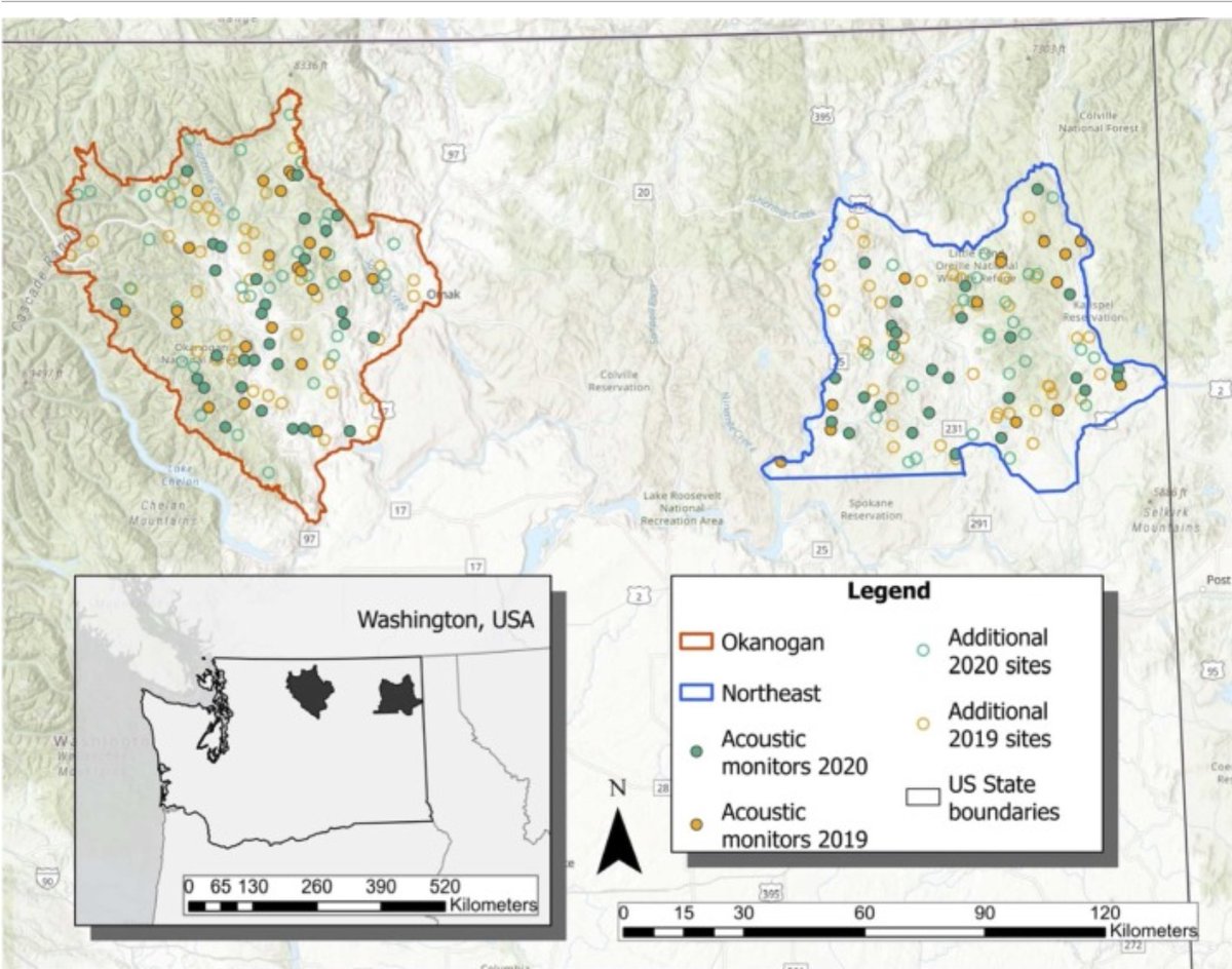 Species_Monitoring tweet media