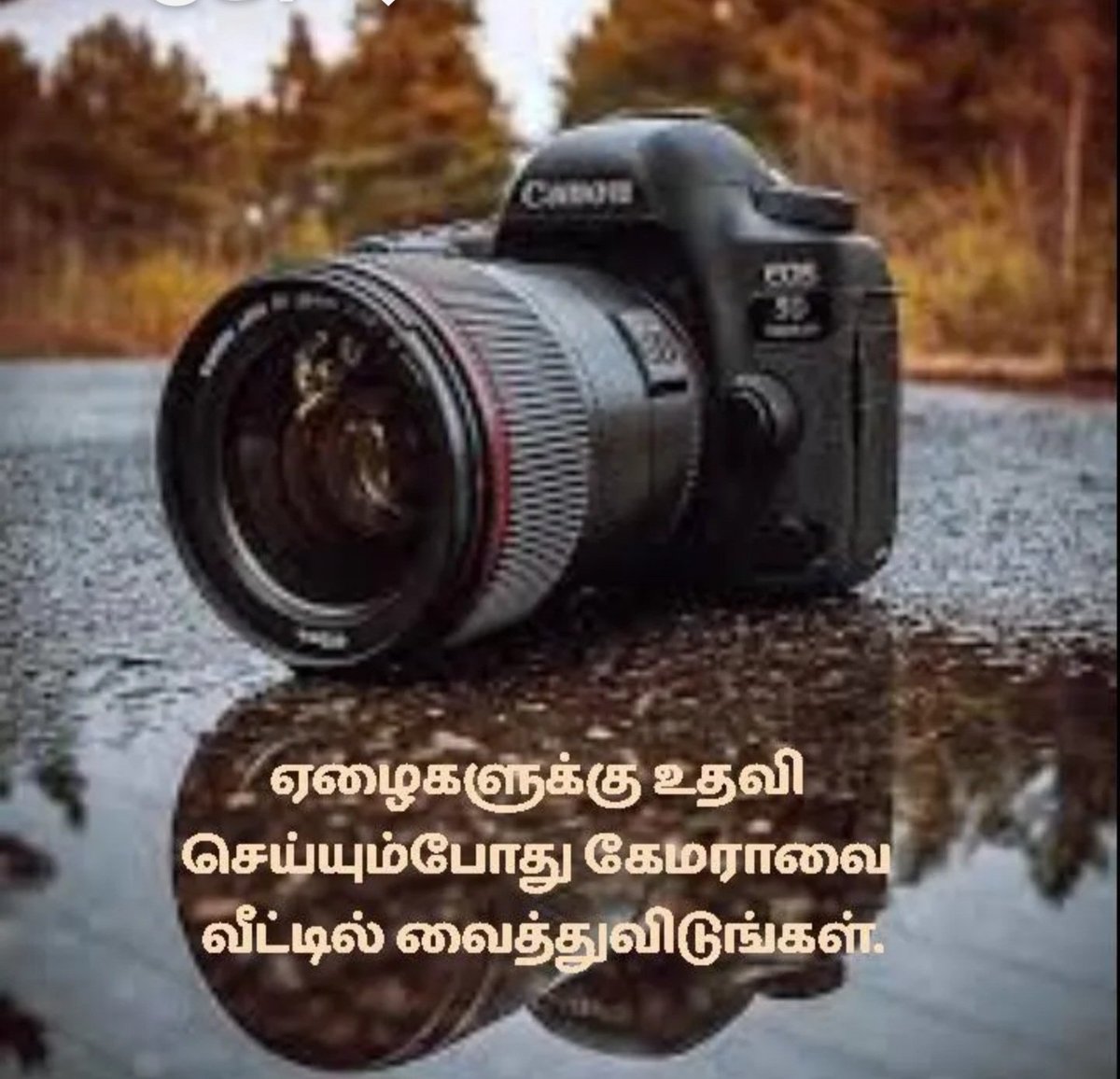Vikraman. R.
vikku fan's girls Army.
Good morning.