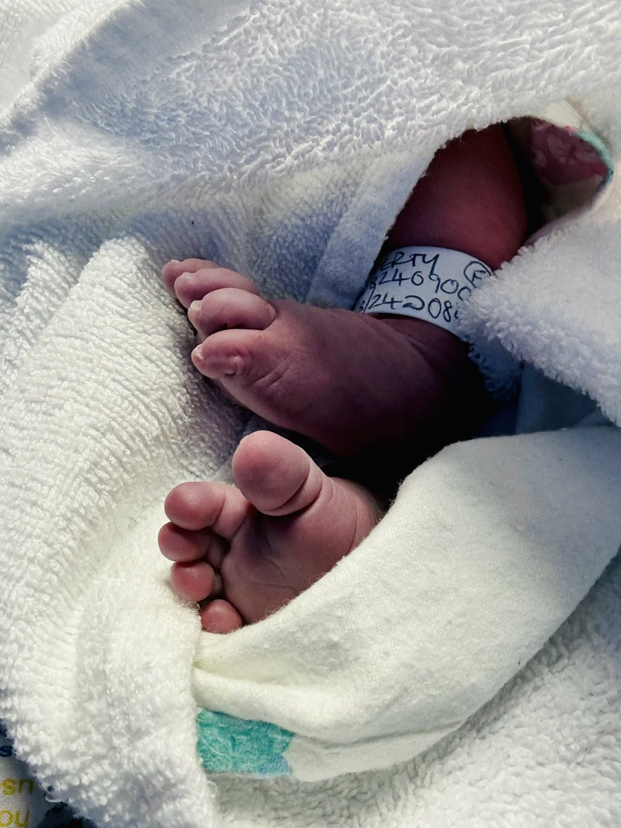 Cllr Laura Doherty tweet media