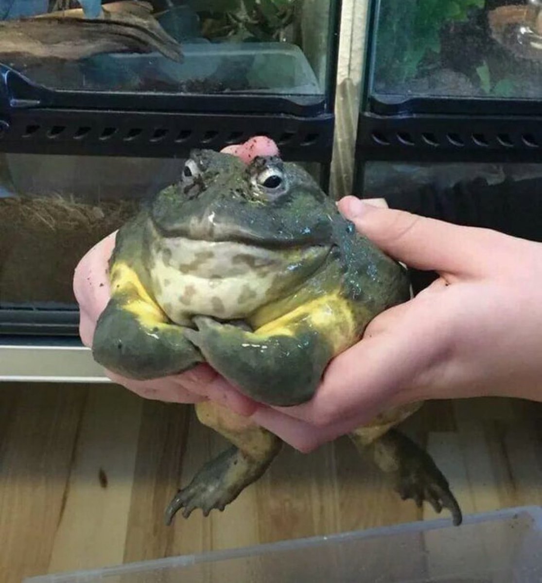Hey, do you think this patient needs micafungin?  Me: