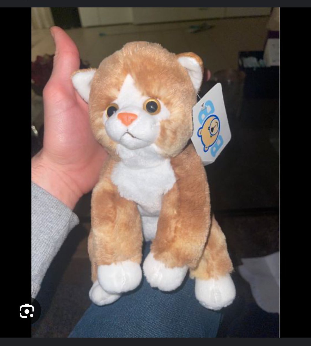 #Followerpower Das Kind einer Kollegin hat sein Lieblingsstofftier im Urlaub verloren. Wir werden es nicht finden, aber vielleicht kennt jemand jemanden der jemanden kennt der es hat und nicht mehr benötigt? Gerne teilen. Dankeschön 🫶