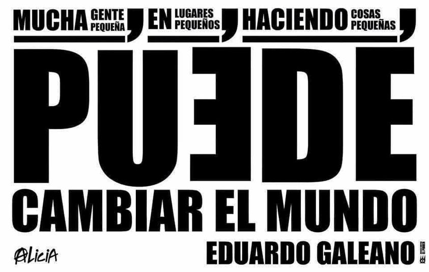 Multiforo Alici@ tweet media