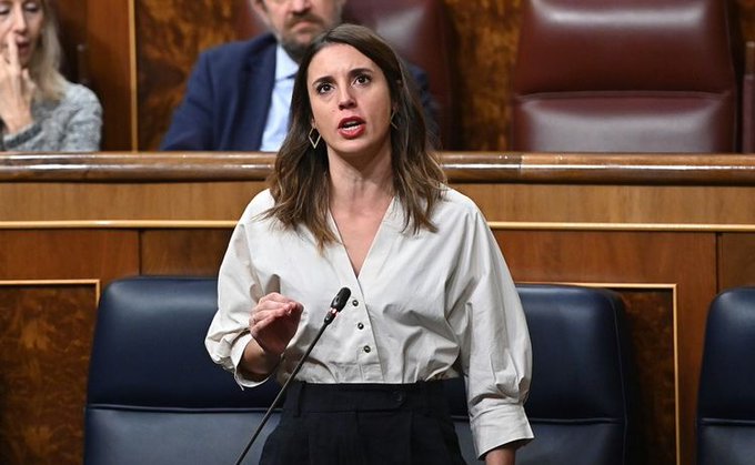 Irudia