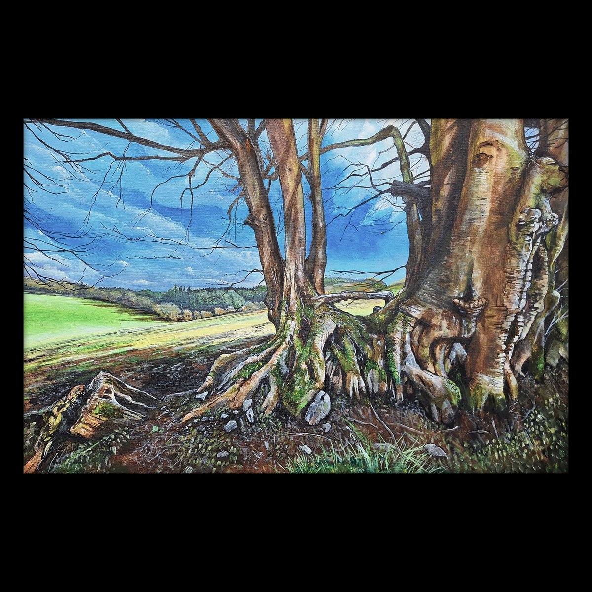 CobbinSteve1's tweet photo. #thicktrunktuesday
My latest large canvas.
Big trunk on the #Quantock hills, #Somerset https://t.co/pwSAquhtfW