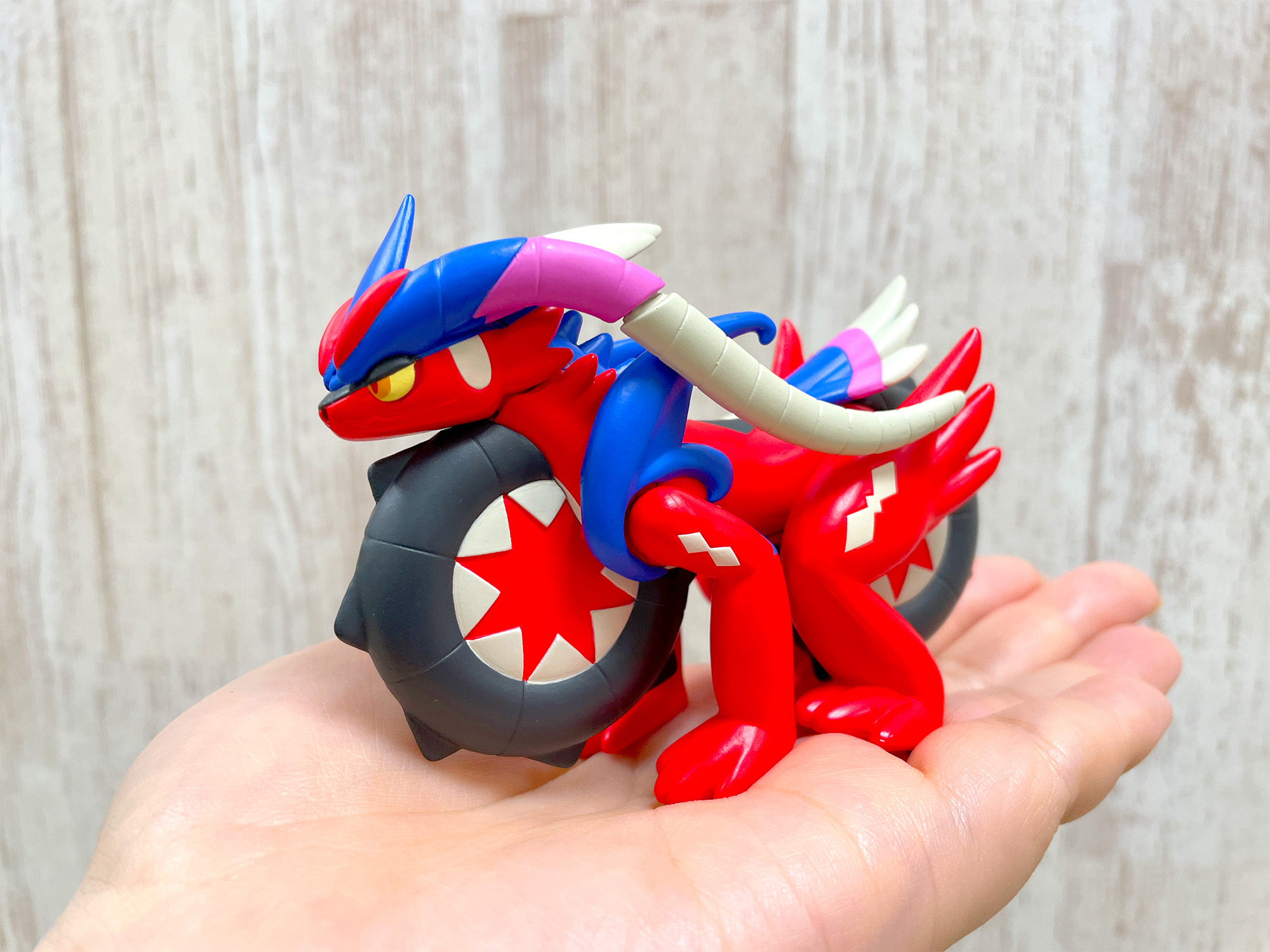 ポケモンだいすきクラブ編集部【公式】 on X: ポケモンだいすきクラブ編集部【公式】 on X: