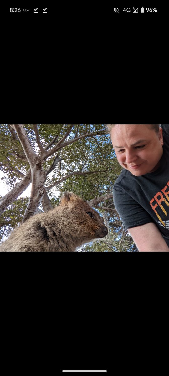 Sarah Hellewell (@_hellewell_) on Twitter photo Fun fact #7: WA is home to the friendliest animal in the world - the quokka! Living primarily on Rottnest island, these sweet little pals have no natural predator and ar famous for their selfies <a href="/AusNeuroSoc/">Australasian Neuroscience Society (ANS)</a> #ANS2024 Fun fact #7: WA is home to the friendliest animal in the world - the quokka! Living primarily on Rottnest island, these sweet little pals have no natural predator and ar famous for their selfies <a href="/AusNeuroSoc/">Australasian Neuroscience Society (ANS)</a> #ANS2024
