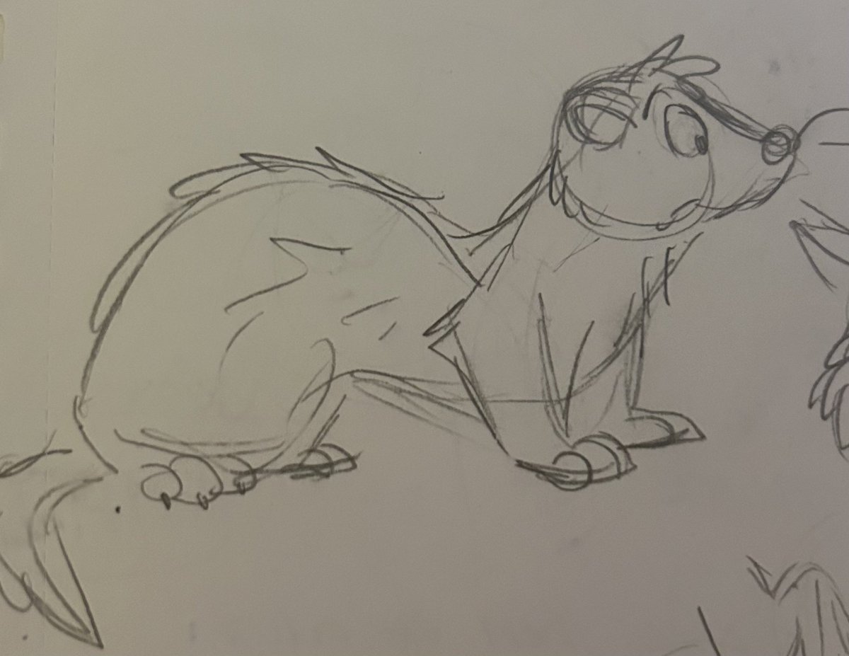 soft_paws_'s tweet photo. ferret sketch https://t.co/zHFir5P8VV