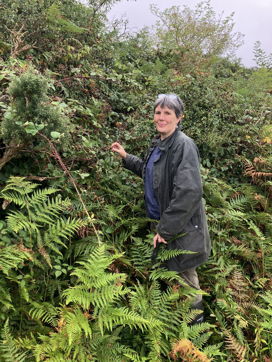 cat frampton tweet media