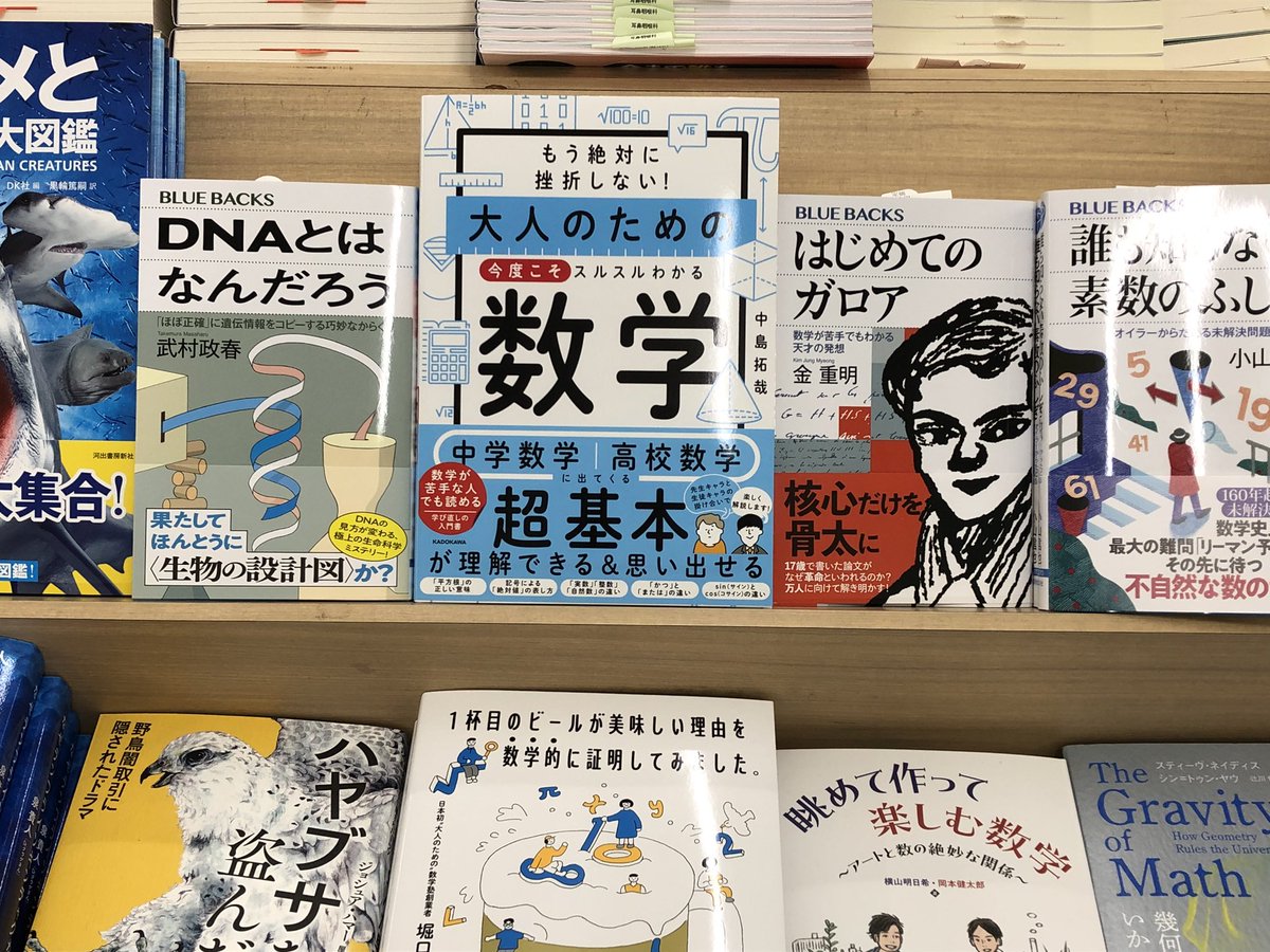 6階数学】 『もう絶対に挫折しない！大人のための今度こそスルスル