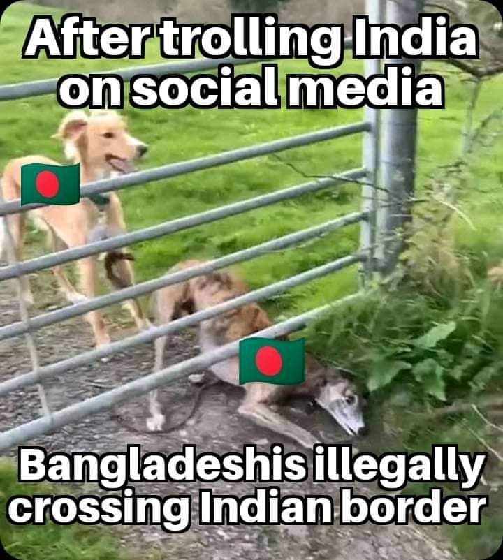 XNSA_V's tweet photo. @JusticeBengal le kangaldesi 🐖🐖🐖 https://t.co/ETq2COuN3O