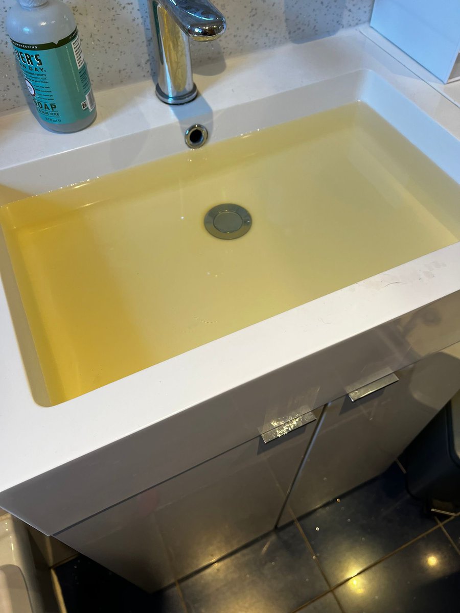 Suzi Owen-Wood tweet media