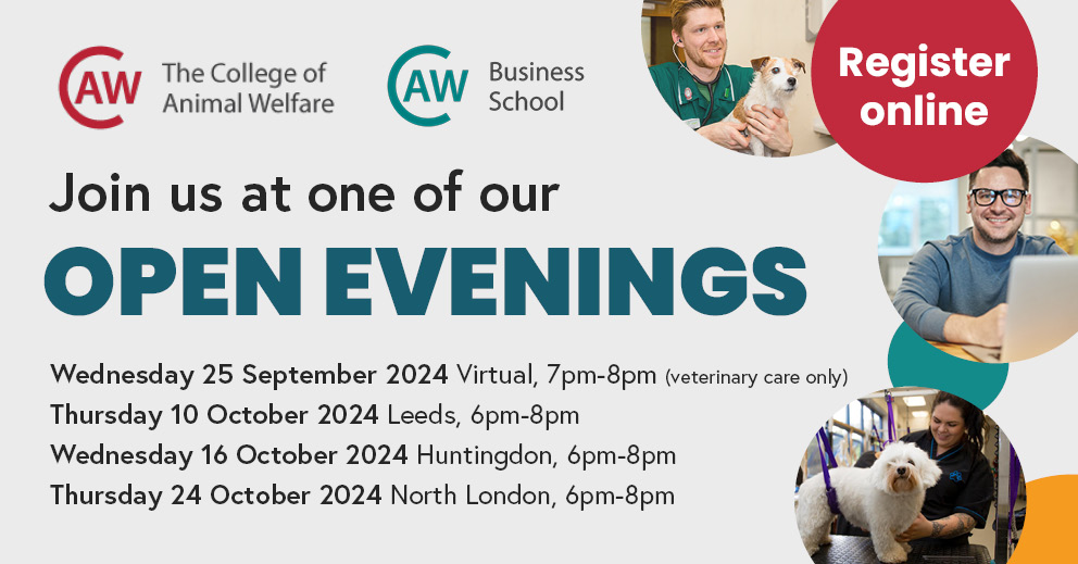CAWInfo's tweet photo. Interested in studying at CAW? Join us at an open evening! Hear from some of our tutors, ask questions, and find out about our courses and what it is like to study with us. ✔️ Register at ➡️ https://t.co/ht2ubZDikA https://t.co/H2yZJybYNm